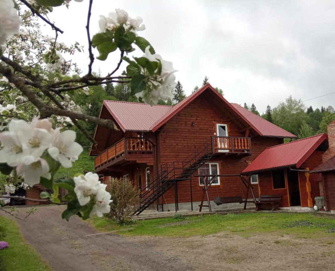 мелодія карпат Holiday home *