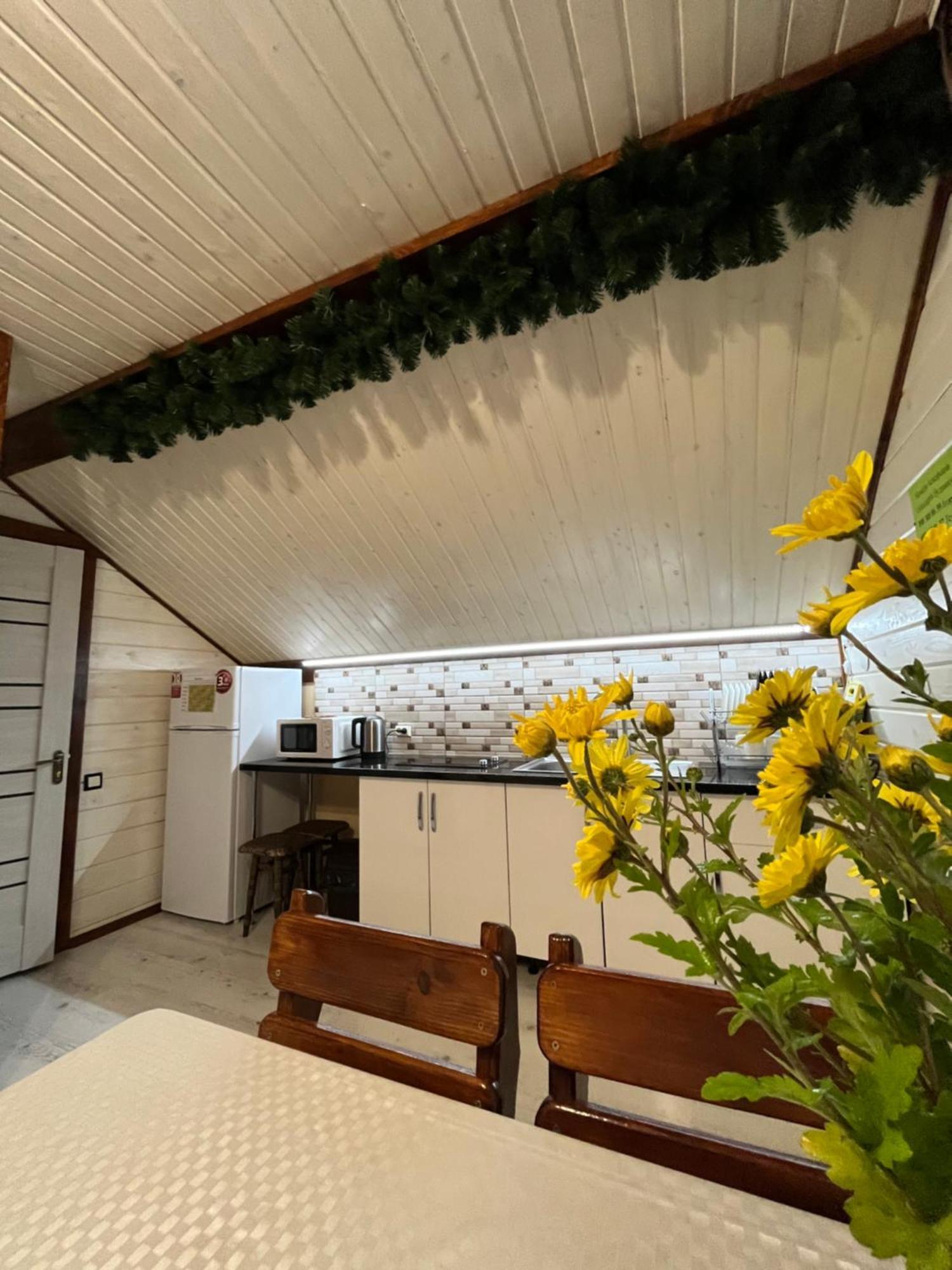 Holiday home мелодія карпат *